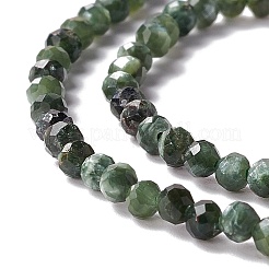 Naturperlen Stränge SERAPHINITE&nbsp;LS-G-A021-07B