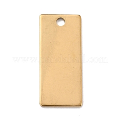 Placcatura ionica (ip) 201 ciondolo in acciaio inossidabile&nbsp;STAS-Z038-01G-B