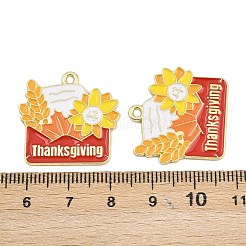 Emaille-Anhänger aus Legierung mit Thanksgiving-Motiv&nbsp;FIND-I065-04J-G