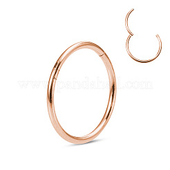 Orecchini per cartilagine in acciaio chirurgico inossidabile 316l&nbsp;WGCE3BC-19