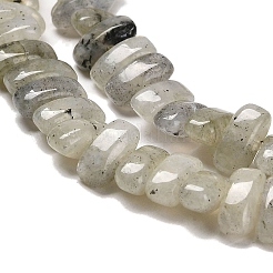 Natur Labradorit Perlen Stränge&nbsp;G-Q167-B19-01