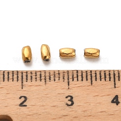 304 Edelstahlperlen&nbsp;STAS-D204-01G