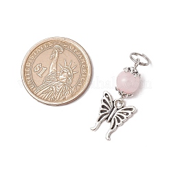 8 pieza de dijes de aleación de estilo tibetano con forma de mariposa&nbsp;PALLOY-JF03506