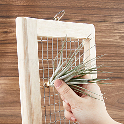 Support de suspension pour plantes aériennes en bois&nbsp;AJEW-WH0348-565