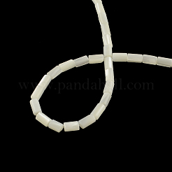 Säule natürliche Trochidschale / Trochusschale Perlenstränge&nbsp;SSHEL-F290-26