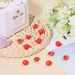 12pcs 2 styles de pendentifs en résine opaque&nbsp;RESI-CA0001-76