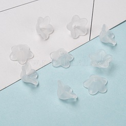 Transparente Acryl Perlen&nbsp;PL560-1