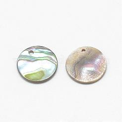 Paua shell charms&nbsp;SSHEL-R041-37