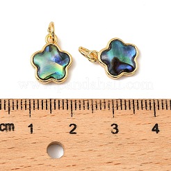 Natürliche Paua-Muschel-Stern-Charms&nbsp;KK-G538-28G