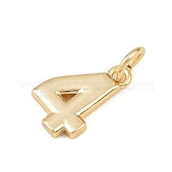 Breloques en laiton&nbsp;KK-G544-10G-04