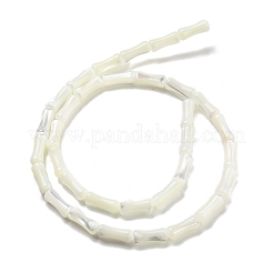 Natürliche Trochidschale / Trochusschalenperlenstränge&nbsp;BSHE-G038-03