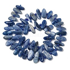 Natürliche kyanite Perlen Stränge&nbsp;G-L649-A01-01