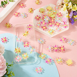60 Stück 6 Farben transparente Harzblumen-Cabochons&nbsp;RESI-TA0004-79