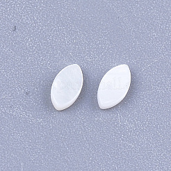 Süßwasser Shell Cabochons&nbsp;X-SHEL-S274-91