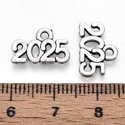 Tibetischen Stil Legierungs Anhänger & Charms&nbsp;LS-TIBE-N012-11AS-NF