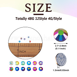 48g 12 Farben Glas Hotfix Strass&nbsp;DIY-TA0004-53