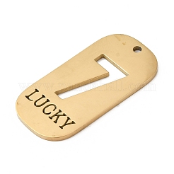 Pendentifs en acier inoxydable 304&nbsp;STAS-D200-02H-G