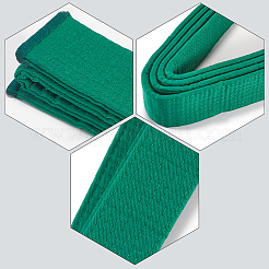 Taekwondo-Gürtel&nbsp;AJEW-WH0314-341E