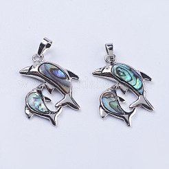 Abalone Muschel / Paua Muschel Anhänger&nbsp;SSHEL-L008-11P