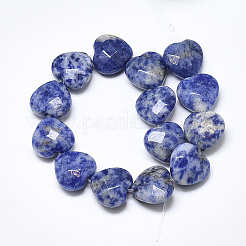 Perles de jaspe tache bleue naturelle&nbsp;G-S357-E02-06