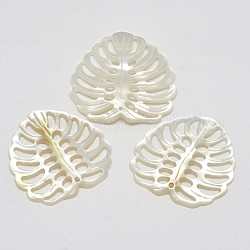 Natural Mother of Pearl Shell Pendants, Tropical Leaf Charms, Monstera Leaf, White, 28~31x28~30x2~3.5mm, Hole: 1.5~2mm