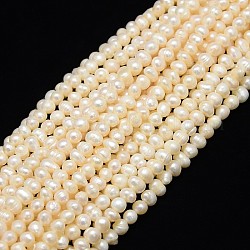 Natural Cultured Freshwater Pearl Beads Strands, Potato, Creamy White, 5~6mm, Hole: 0.8mm, about 56~57pcs/strand, 13.39 inch(34cm)