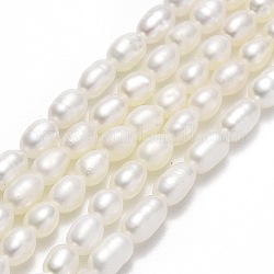 Natural Cultured Freshwater Pearl Beads Strands, Rice, Linen, 4.5~~6.5x3.5~4mm, Hole: 0.6mm, about 64~71pcs/strand, 14.57''~14.96