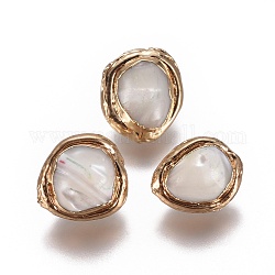 Perles de coquille, bord plaqué or, ovale, 14.5~15x11.5~13x8.5~11.5mm, Trou: 0.8mm