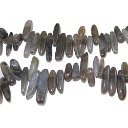 Natural Labradorite Chips Beads Strands, 12~22x5~7mm, Hole: 1mm, 16 inch