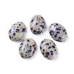 Dalmatien naturel jaspe cabochons, pour bricolage artisanat photo charmes fabrication de bijoux, ovale, 16~16.5x12~12.5x4.5~5.5mm