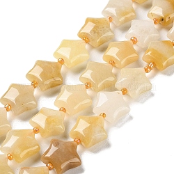 Chapelets de perles jaunes en aventurine naturelle, avec des perles de rocaille, étoiles du nord, 14~15.5x15~16x6.5~7mm, Trou: 1mm, Environ 24~25 pcs/chapelet, 15.55''~15.95'' (39.5~40.5 cm)