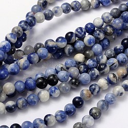Chapelet de perles en sodalite naturelle, grade AB, ronde, 6mm, Trou: 0.8mm, Environ 60 pcs/chapelet, 15~16 pouce