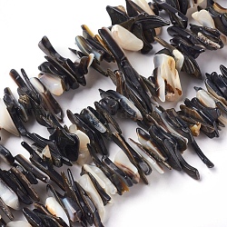 Shell perle d'acqua dolce fili, pezzo, colore conchiglia, 10~30x7~10mm, Foro: 0.5 mm, 15.3~15.5 pollice (39~39.5 cm)