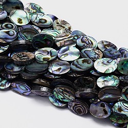 Naturelles Paua brins de perles, ovale, colorées, 14x10x3mm, Trou: 1mm, Environ 28 pcs/chapelet, 15.7 pouce
