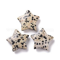 Perles de jaspe dalmatien naturelle, sans trou, étoiles du nord, 24x25x8mm