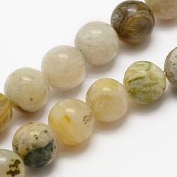 Natürliche Bambus-Blatt-Achat Perlen Stränge, Runde, 6 mm, Bohrung: 1 mm, ca. 62 Stk. / Strang, 15.3 Zoll (39 cm)