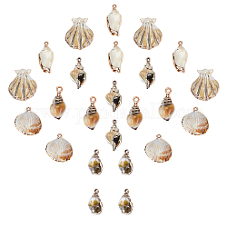 Ciondoli in acrilico placcato sunnyclue, stile gemstone imitato, conchiglia e conchiglia a spirale, bianco floreale, 28x28x6.5mm, Foro: 1.8 mm, 24pcs/scatola