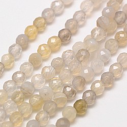 Natural Botswana Agate Beads Strands, Faceted Round, 2mm, Hole: 0.8mm, about 190pcs/strand, 16 inch