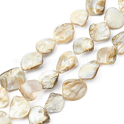 Brin de perles de coquille faites à la main , losange, verge d'or, taille: environ 18-20 mm de long,  largeur de 14-20 mm, épaisseur de 3-12mm, Trou: 1mm, Environ 20~21 pcs/chapelet, 16 pouce / brin