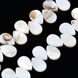 Eau douce naturelle de coquillage perles brins, larme, couleur de coquillage, 15x10x2mm, Trou: 1mm, Environ 48 pcs/chapelet, 15~15.75 pouce (38.1~40 cm)