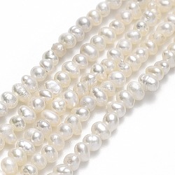 Fili di perle di perle d'acqua dolce coltivate naturali, patata, biancheria, 2~3x2.8~3.5x2.8~3.5mm, Foro: 0.5 mm, circa 130~143pcs/filo, 14.06~14.25 pollice (35.7~36.2 cm)