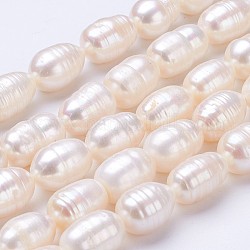 Fili di perle di perle d'acqua dolce coltivate naturali, riso, vecchio pizzo, 11~15x9~10mm, Foro: 0.5 mm, circa 26pcs/filo, 14.2 pollice