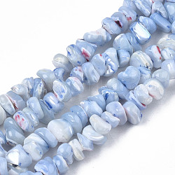 Natural Freshwater Shell Beads Strands, Dyed, Nuggets Chips, Light Steel Blue, 2.5~5.5x6~17.5x5~8mm, Hole: 0.8mm, about 92~112pcs/strand, 13.98 inch~16.14 inch(35.5~41cm)