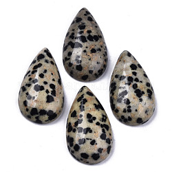 Dalmatiner Jaspis Natur Cabochons, Träne, 28~29x15~17x6~9 mm