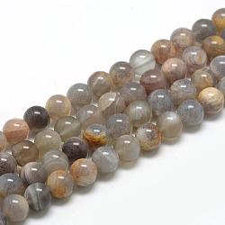 Ciocche di perline nere naturali, tondo, 10mm, Foro: 1 mm, circa 40pcs/filo, 15.7 pollice