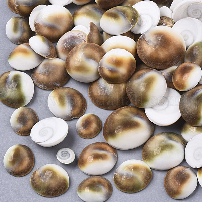 Natürlichen Shell Cabochons&nbsp;SSHEL-S258-93-1