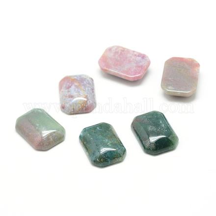 Natural Indian Agate Gemstone Cabochons G-T028-18x25mm-06-1