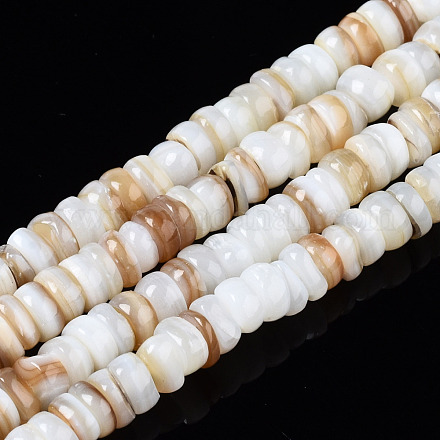 Eau douce naturelle de coquillage perles brins SHEL-T018-28-1
