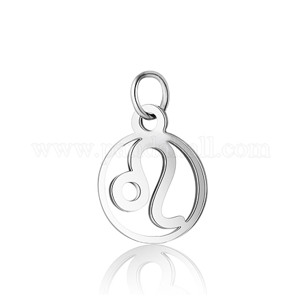 304 Stainless Steel Charms STAS-T036-T513-A5-1