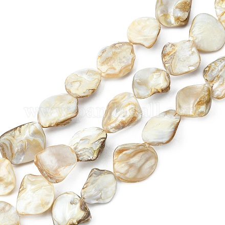 Handmade Shell Beads Strands PBB471-1-1